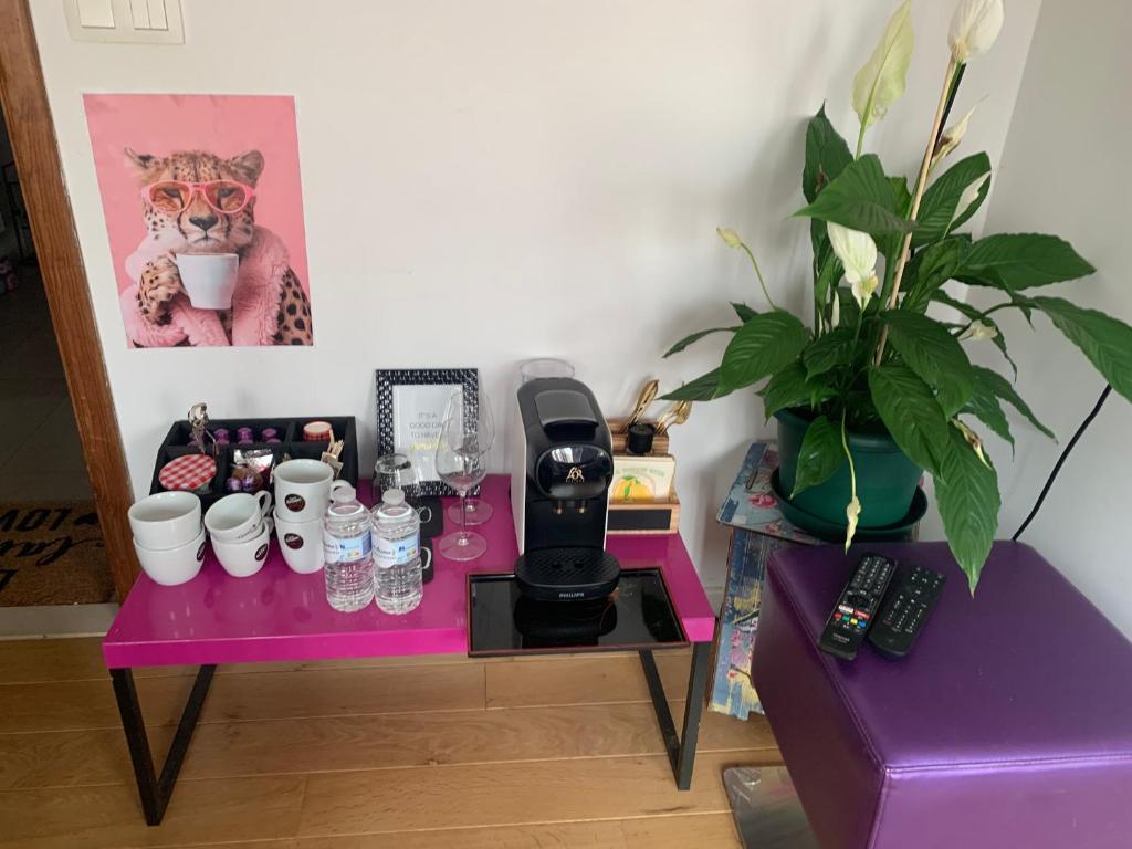 Příslušenství pro přípravu čaje a kávy v ubytování Green River Studio