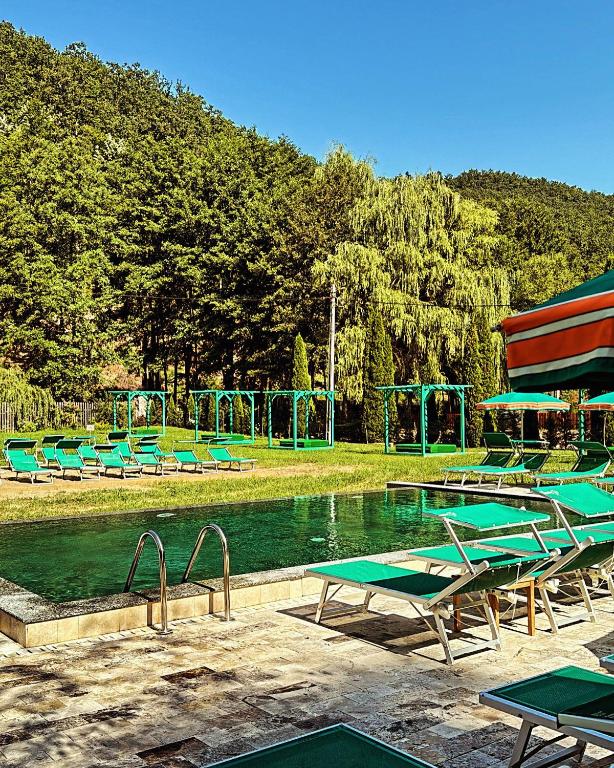 a pool with a bunch of chairs and a playground at Pensiunea Valea Gepisului in Groşi