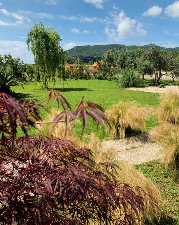 un campo con erba alta e alberi in un campo di Euphoria Guest House a San Felice Circeo