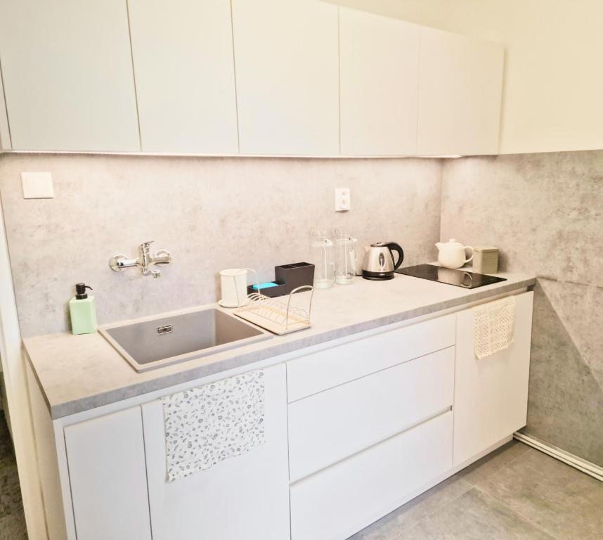 A kitchen or kitchenette at Princ next to President Palace