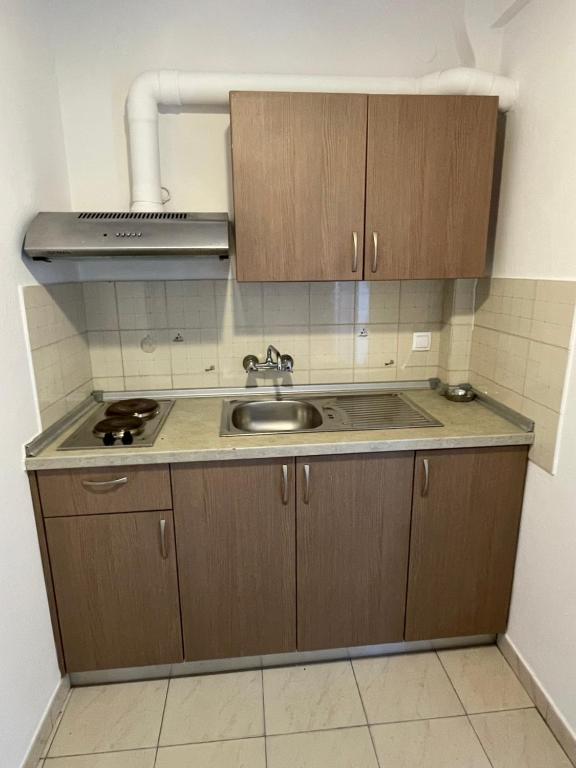 Kuchyň nebo kuchyňský kout v ubytování Manos Kritikakis Apartments
