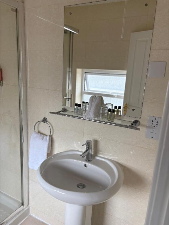 Phoenix Park Hotel - Resim 8