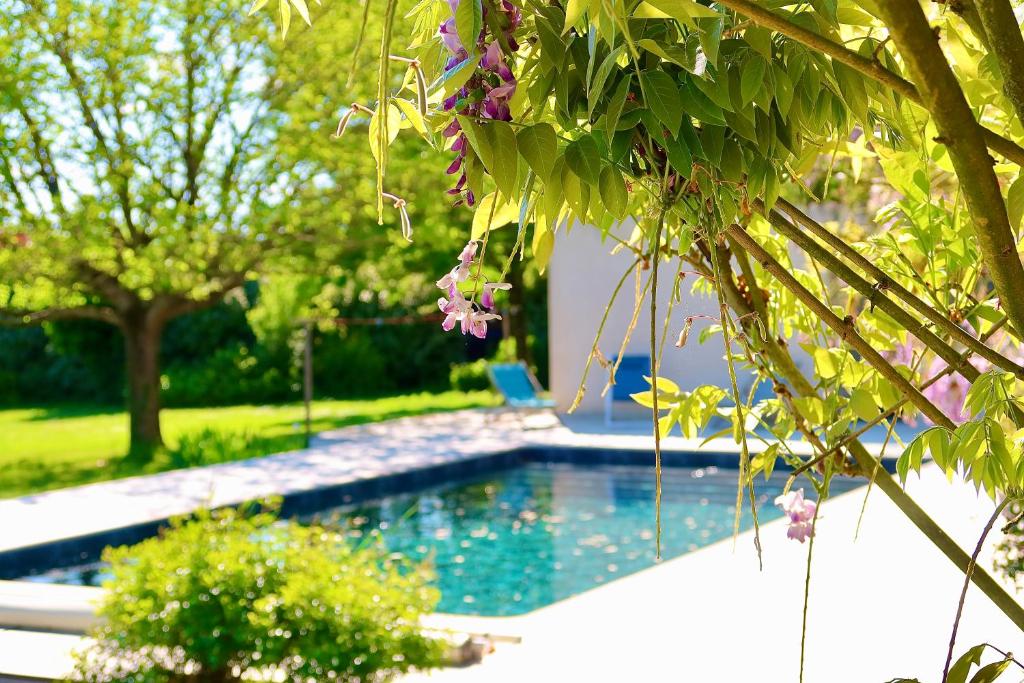 - une piscine dans une cour ornée d'arbres et de fleurs dans l'établissement La Goronière - Superbe Charentaise rénovée - 2 logements - Piscine chauffée, à Saint-Laurent-de-la-Barrière