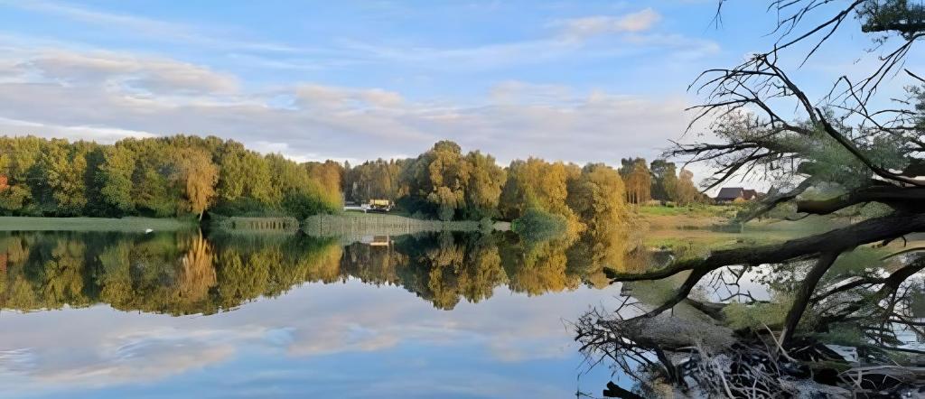 Příroda nedaleko kempu
