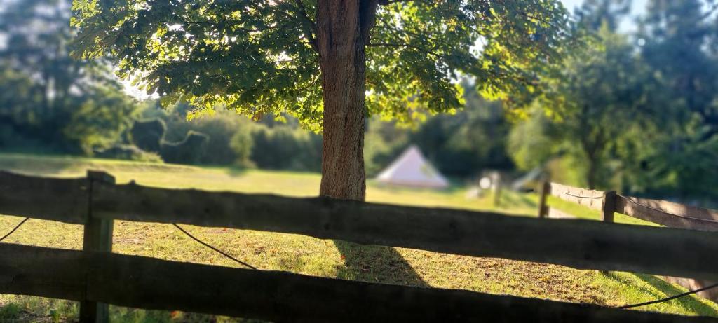 Fotografie z fotogalerie ubytování Tipi Jurte Zelt in der Seenplatte v destinaci Carpin