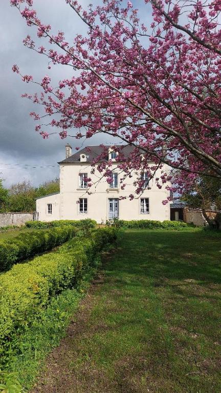 une maison blanche avec un arbre en fleurs devant dans l'établissement Le Gîte Adelis, à La Celle-sous-Gouzon