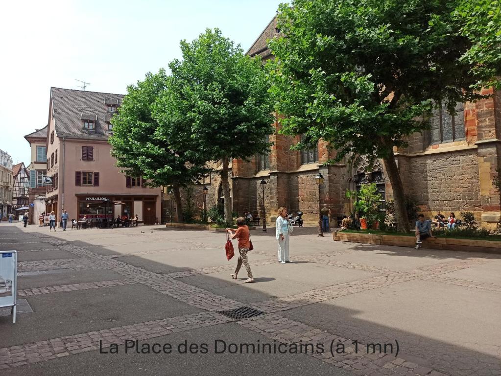 Chambre chez l'habitant - Centre historique - Salle d'eau et WC privés – photo 10