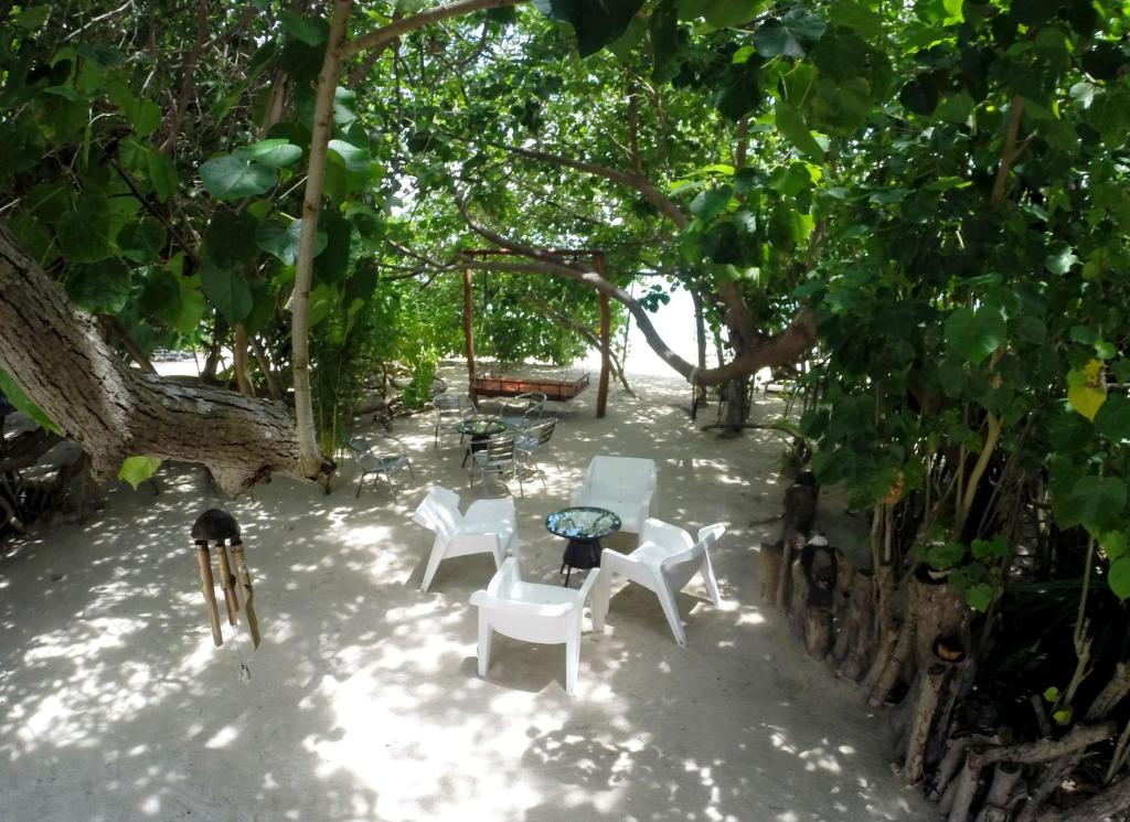 Zahrada ubytování Rasdhoo Island Inn Beachfront