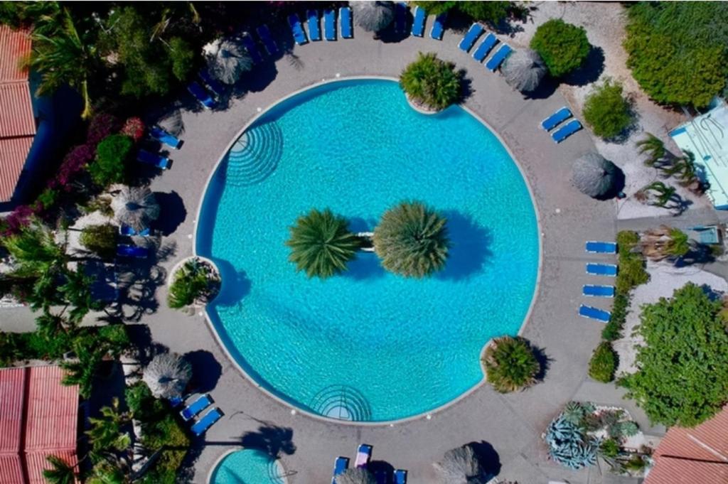 Bazén v ubytování Seru Coral Apartment nebo v jeho okolí