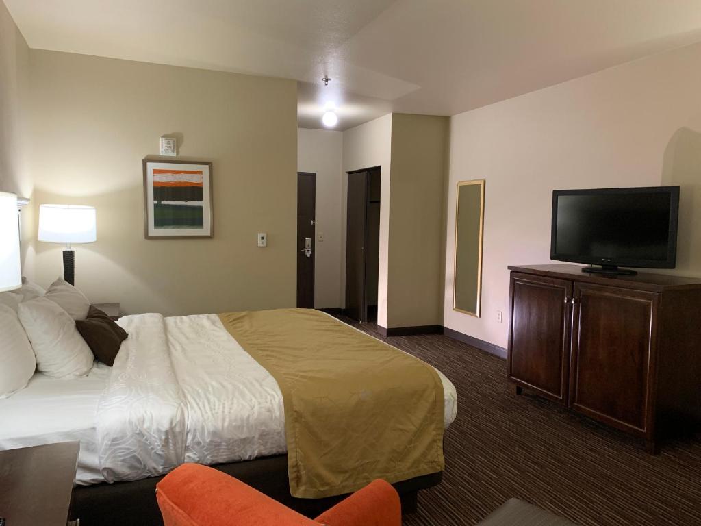 Radisson Hotel River Falls - LETTO KING-NON FUMATORI