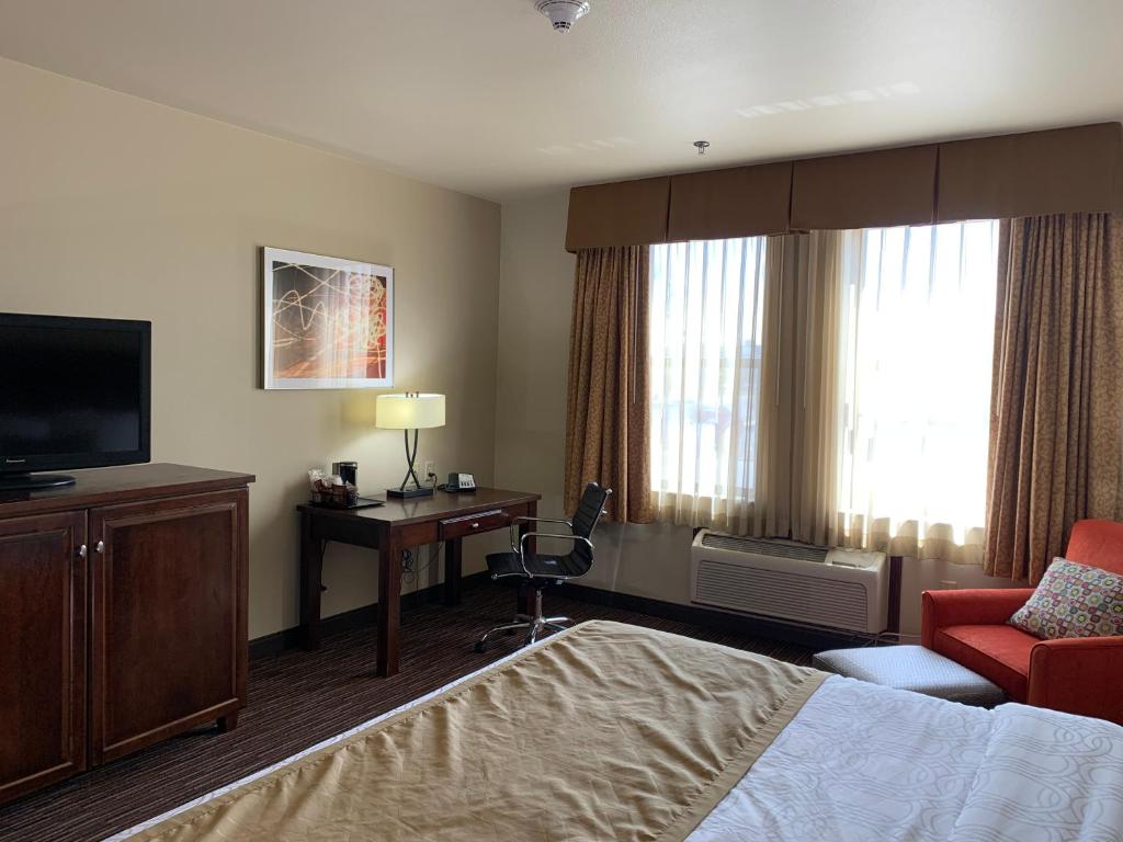 Radisson Hotel River Falls - 特大号床间 - 带无障碍淋浴间 - 禁烟