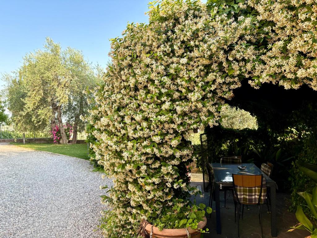 Zahrada ubytování B&B Il Pozzo