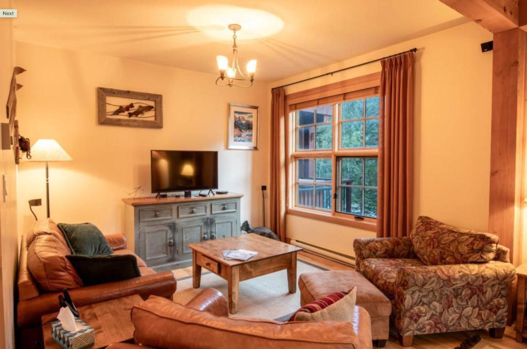 TV a/nebo společenská místnost v ubytování Lush Mountain Accommodations