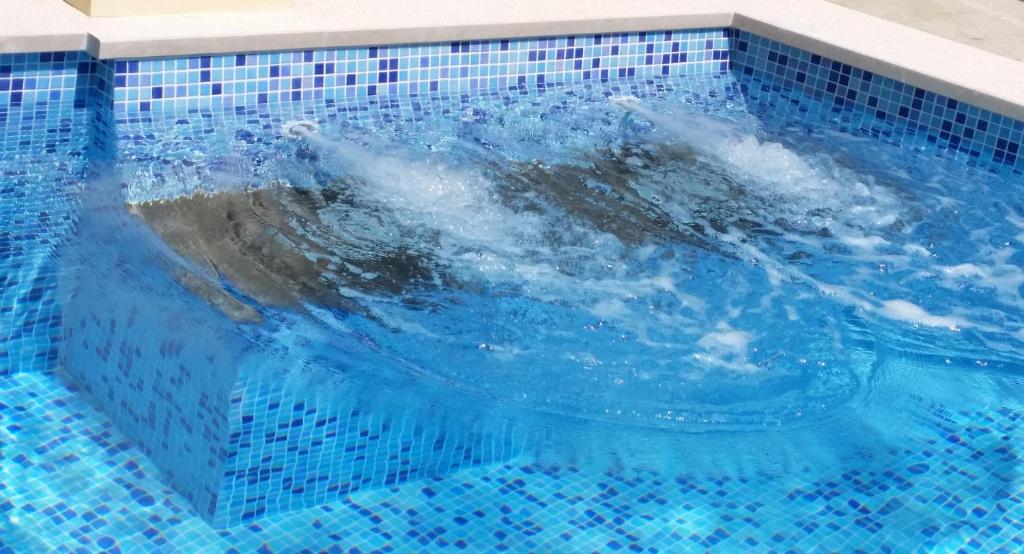 Piscina en o cerca de Apartments Kust