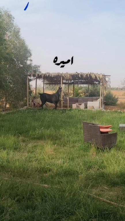 Zahrada ubytování نيوم بالقرب من مدينه تبوك