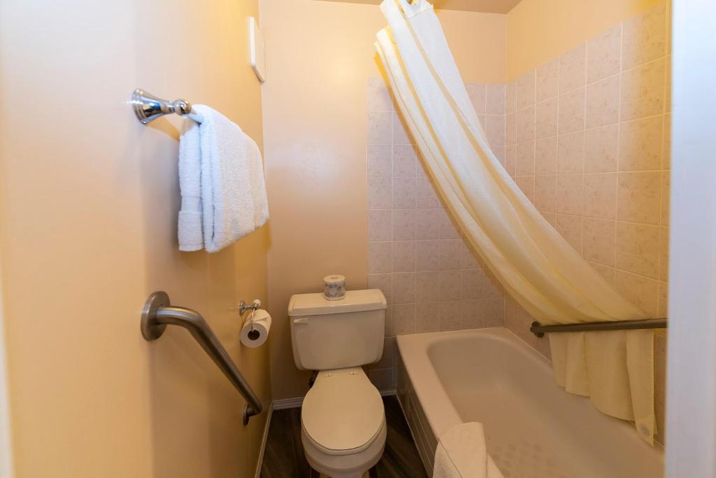 Koupelna v ubytování Econo Lodge
