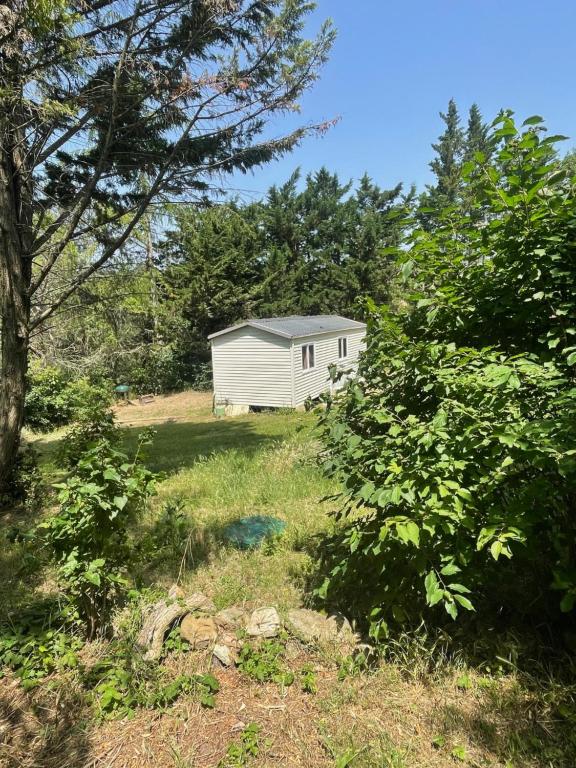 un petit hangar blanc dans un champ arboré dans l'établissement Le Chêne Doré, à Villelongue-dʼAude