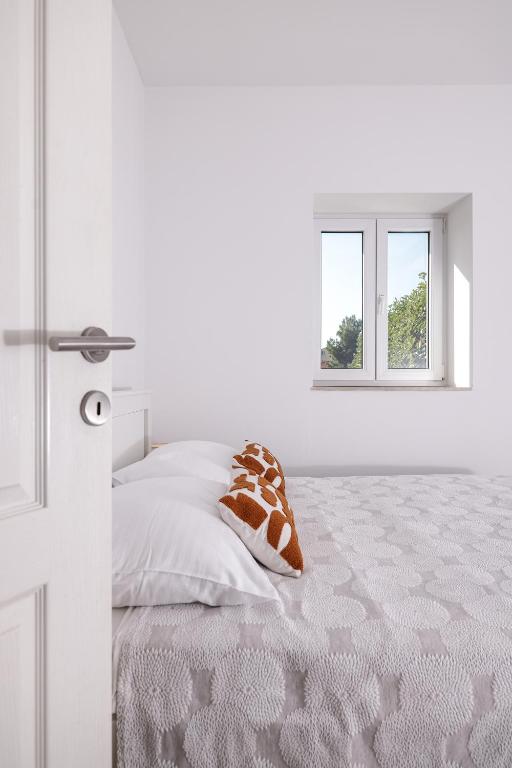 Pavle's Apartment - 16