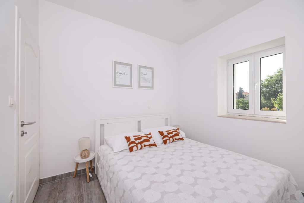 Pavle's Apartment - 18