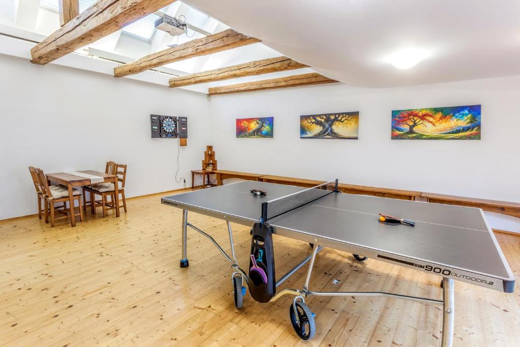 Stolní tenis v ubytování Pension U Lípy nebo okolí