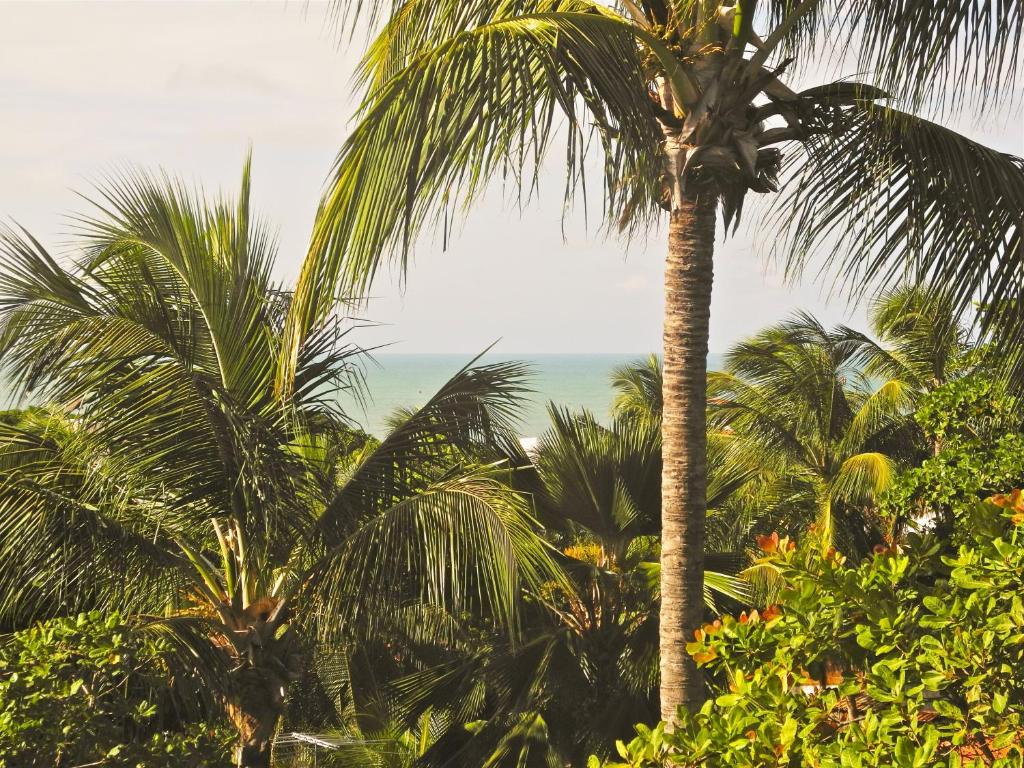  Paraiso Tropical - Casas 6 e 7