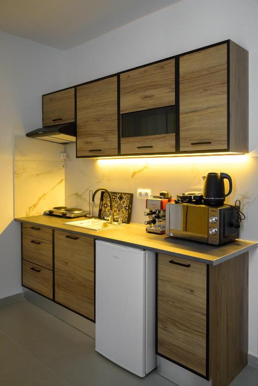 Kuchyň nebo kuchyňský kout v ubytování PAVEL apartments