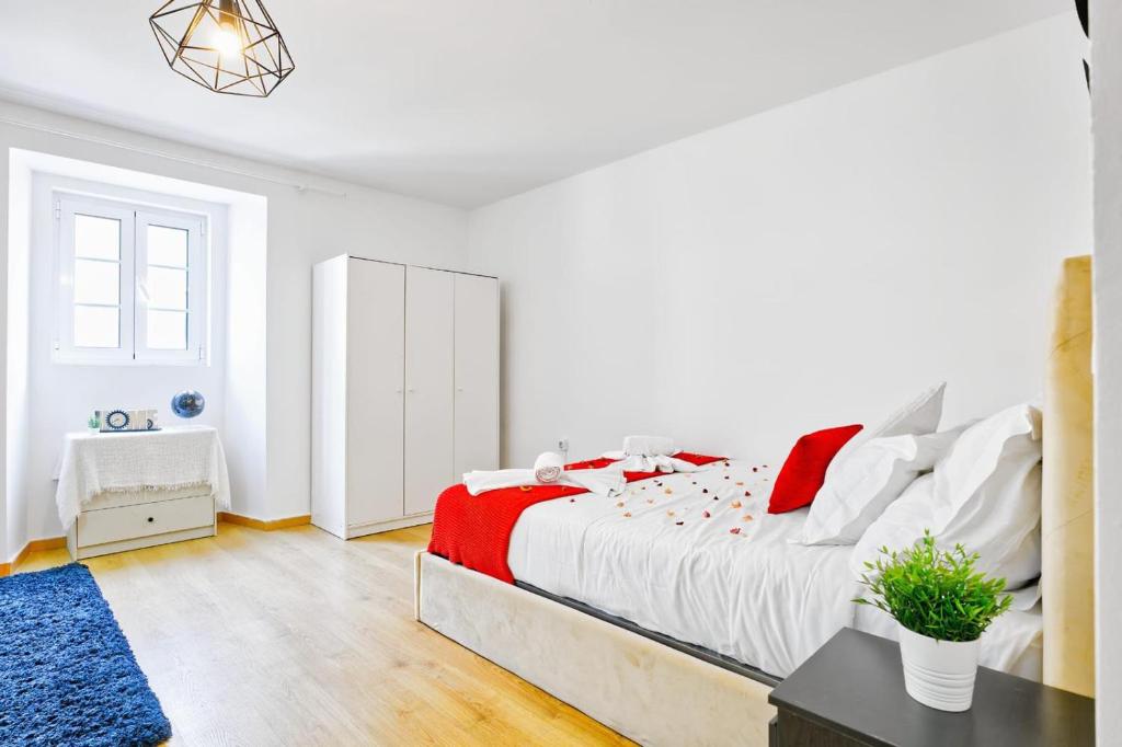 New, cozy, central flat