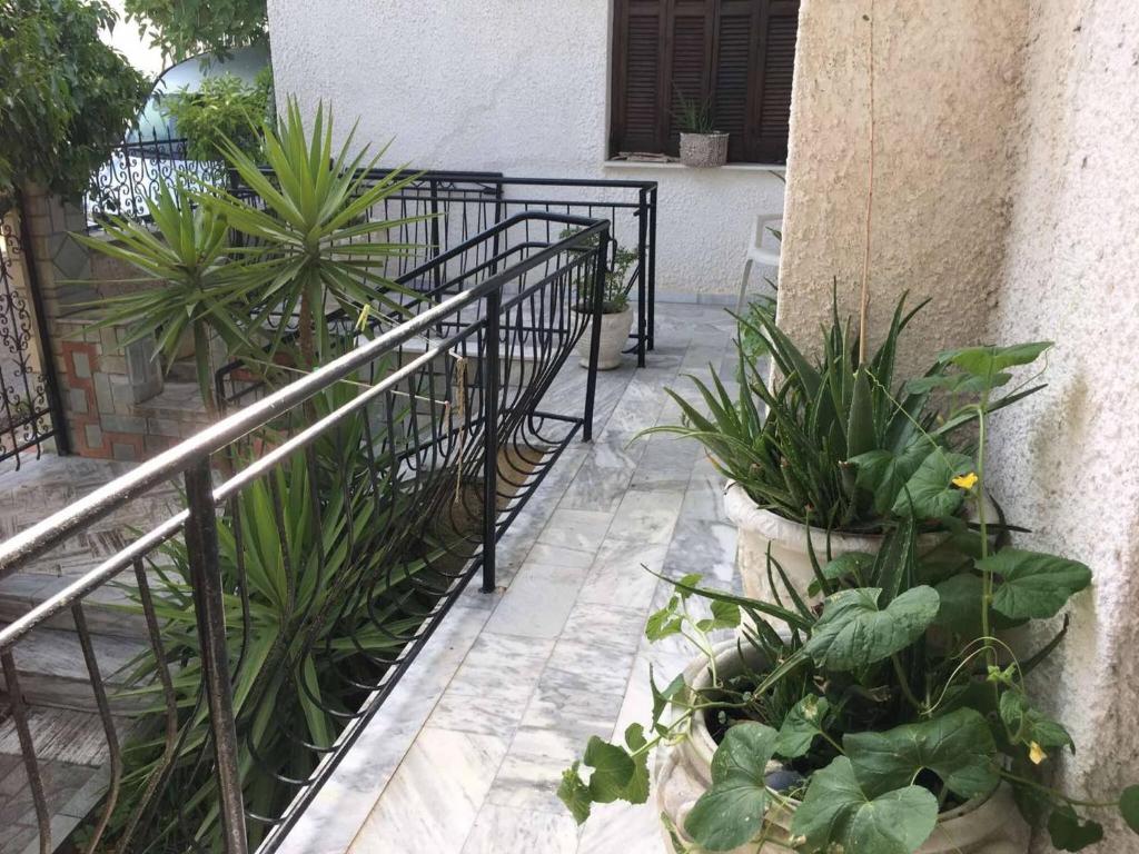 Zahrada ubytování Villa Arhondiko Estate Kato Polydendri