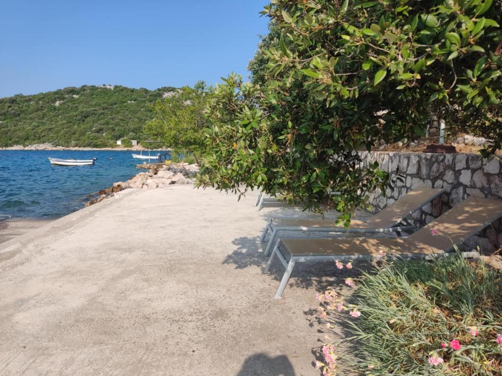 Príroda v okolí apartmánu