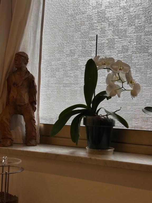 Fotografie z fotogalerie ubytování Hotel Lukas v destinaci Viareggio