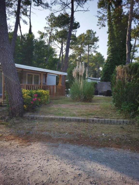 une petite maison avec un porche et une cour dans l'établissement La Margotine, à Camiers