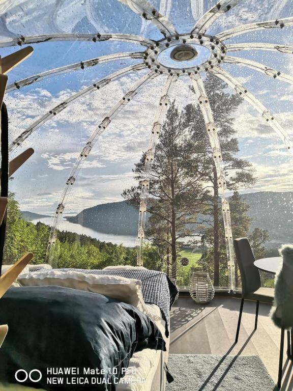 Příroda nedaleko luxury tent