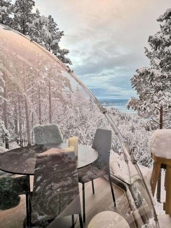 Příroda nedaleko luxury tent