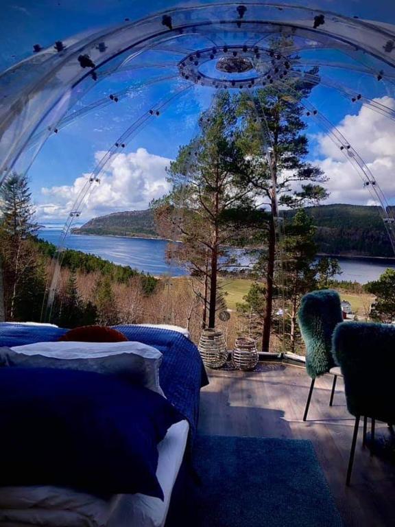 Příroda nedaleko luxury tent
