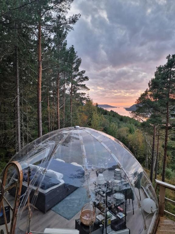 Příroda nedaleko luxury tent