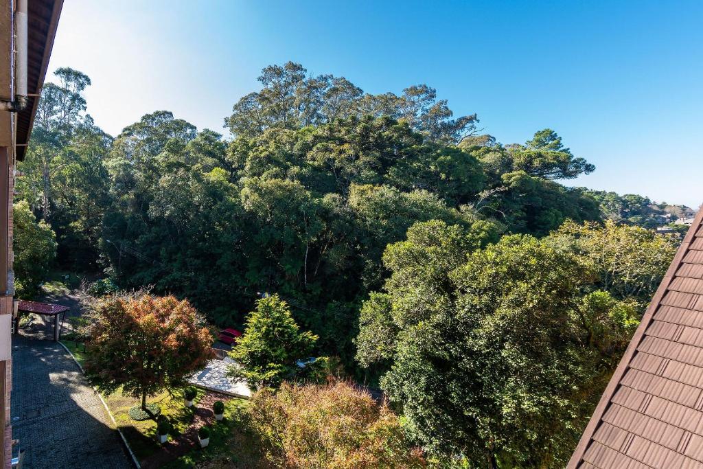 eine Aussicht über einen Wald von Bäumen in der Unterkunft Rosa Edificio Morada das Hortêsias in Gramado