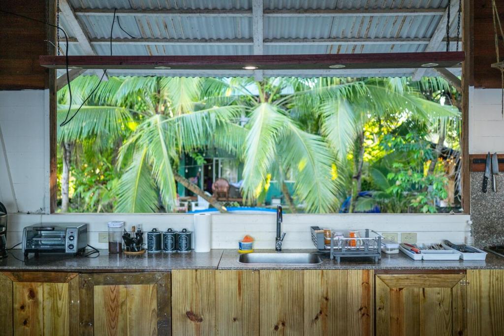 Zahrada ubytování La Caribena Beach House- Bocas del Toro, Isla Colón, Panamá