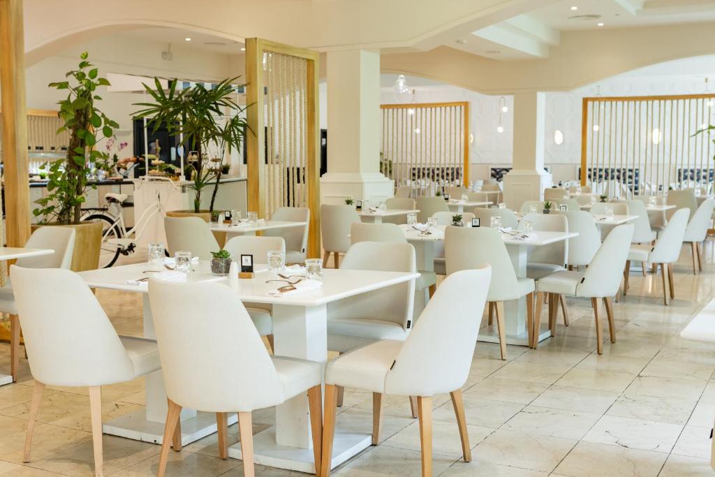 Bright dining room with white chairs, wooden accents, and plants at multiple table settings.