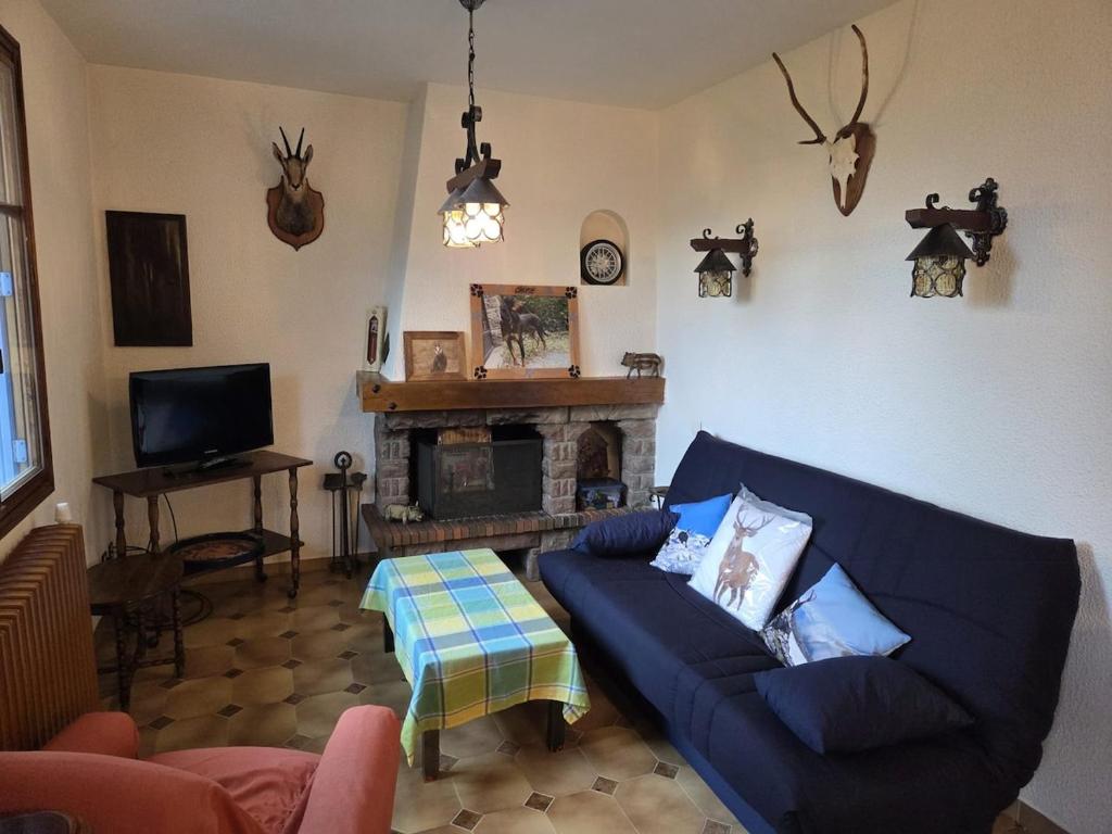 un salon avec un canapé bleu et une cheminée dans l'établissement Appartement à la montagne, à Saint Firmin