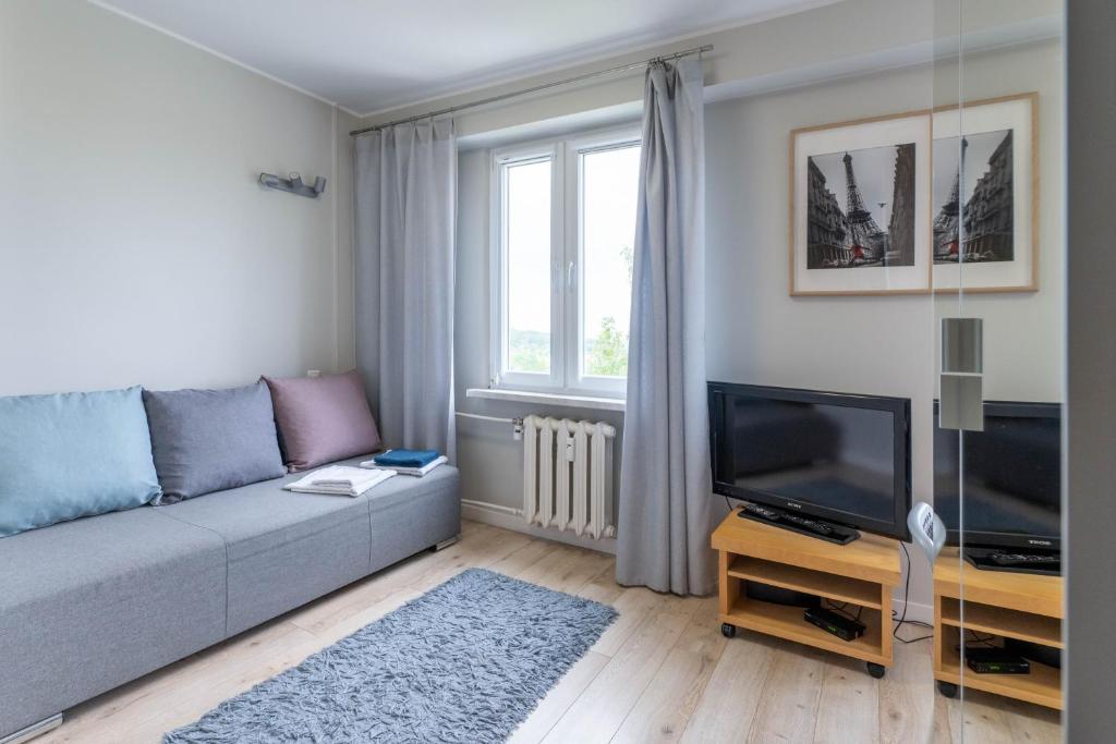 赫扎努夫New modern flat on the way from Kraków to Oświęcim的带沙发和电视的客厅