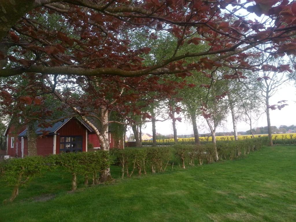 una pequeña casa roja en un campo con árboles en Hus på Lantgård Viken en Mjöhult