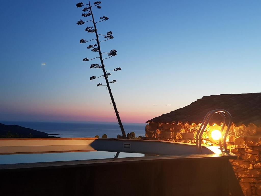 un arbre assis au sommet d'un bâtiment avec le coucher du soleil dans l'établissement A punta di Cupabia, à Serra-di-Ferro