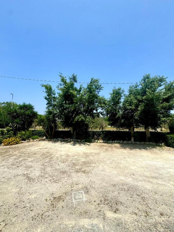 Il parco alberato con aiuola in pietra, palme e ulivi