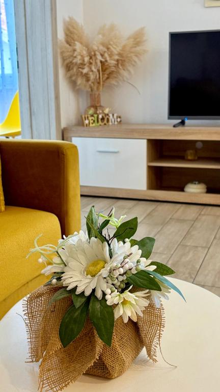TV a/nebo společenská místnost v ubytování Apartments Aurora