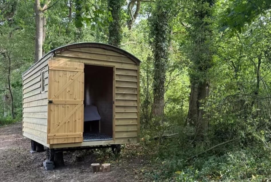 a wooden shed in the middle of a forest at Little Brook Glamping in Salfords