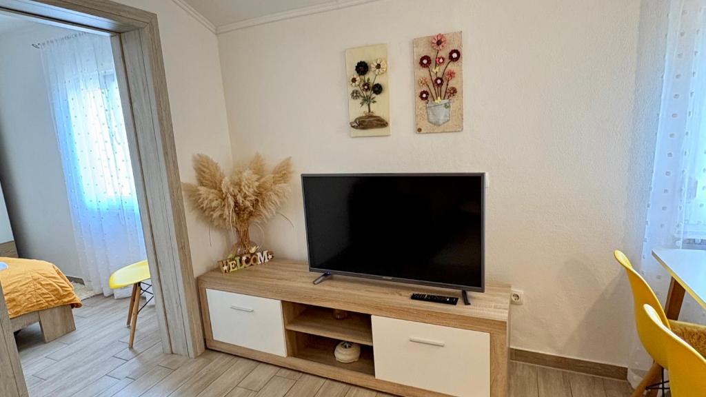 TV a/nebo společenská místnost v ubytování Apartments Aurora