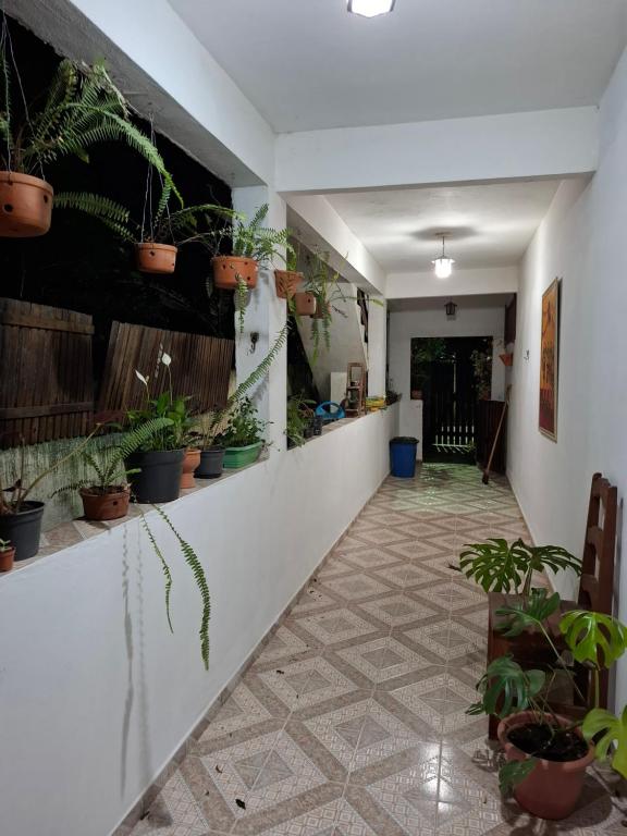 Imagine din galeria proprietății Casa Flor 2- Centro vista p o Rio în Nova Friburgo