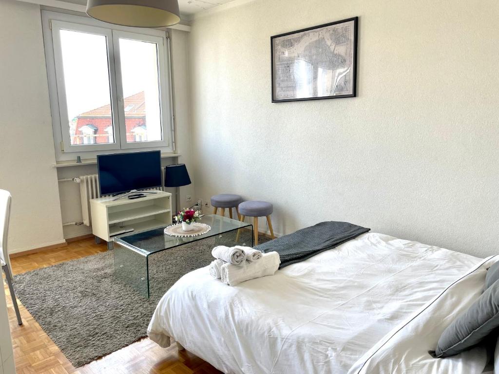 Beautiful studio 2 minutes from Lausanne Train Station - Resim 7