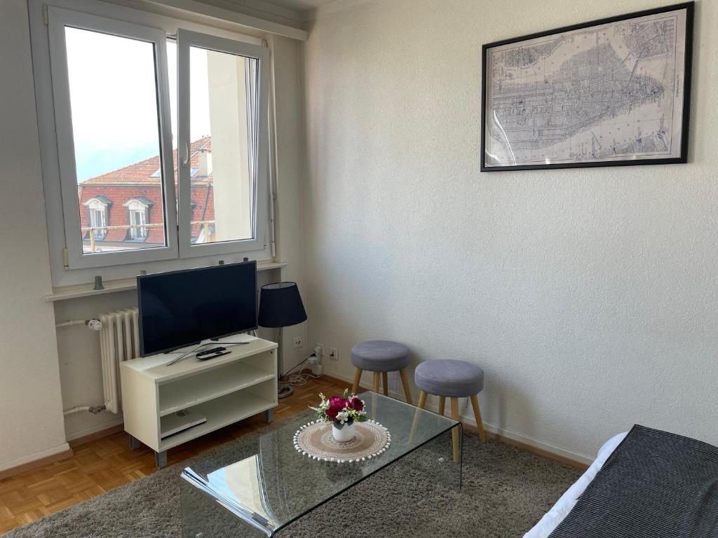 Beautiful studio 2 minutes from Lausanne Train Station - Resim 9
