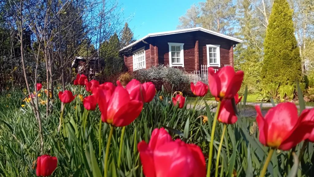 a house with red flowers in front of it at Herralan huvila lähellä PowerParkia Kauhava in Kauhava